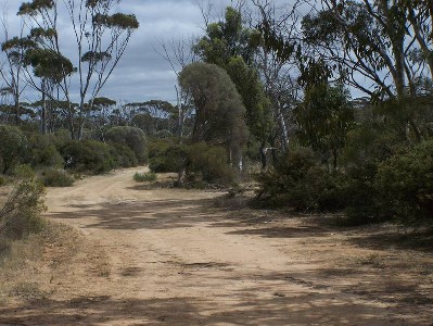 5 ACRE BUSH BLOCK Picture