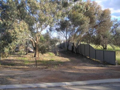 CHEAP AND NEAT Picture