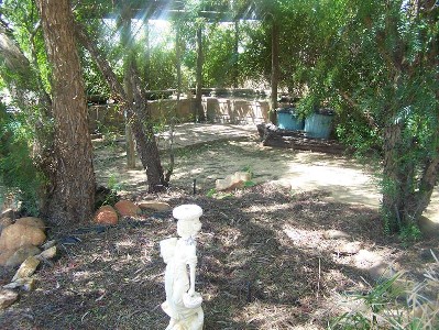 DID YOU SAY CHARACTER Picture