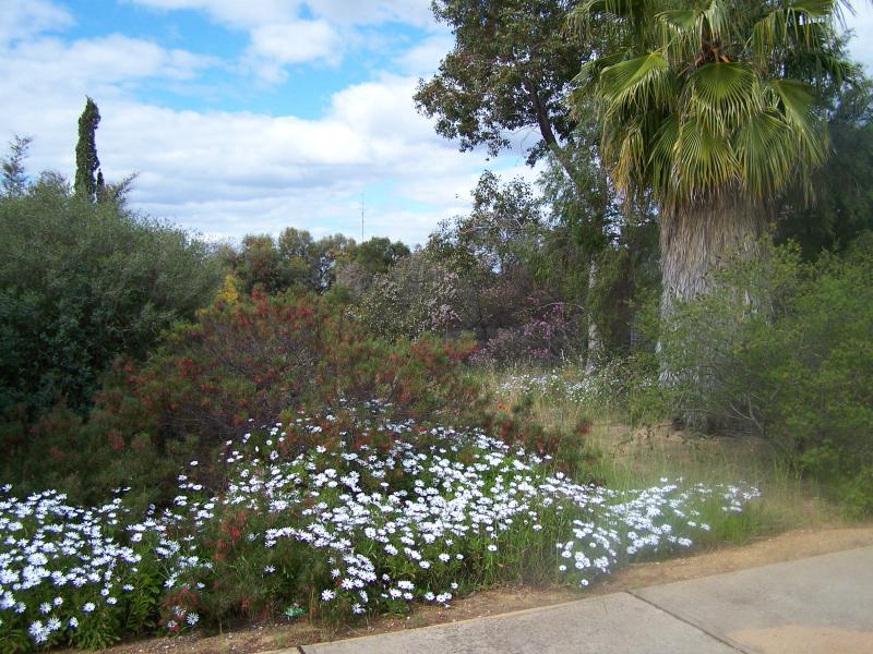 GREAT BUILDING BLOCK Picture 1