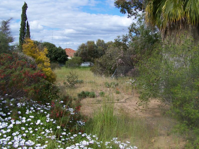 GREAT BUILDING BLOCK Picture 2