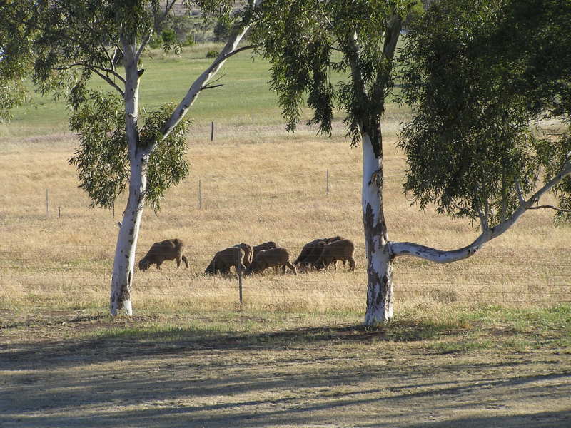 IT'S ALL HERE Picture 1