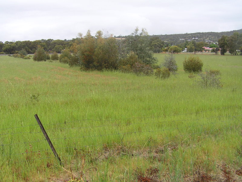 MOUNTAIN VIEWS Picture 2