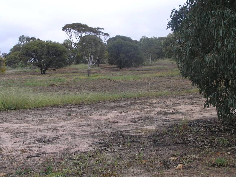 NEAT BLOCK WITH RURAL OUTLOOK Picture 3