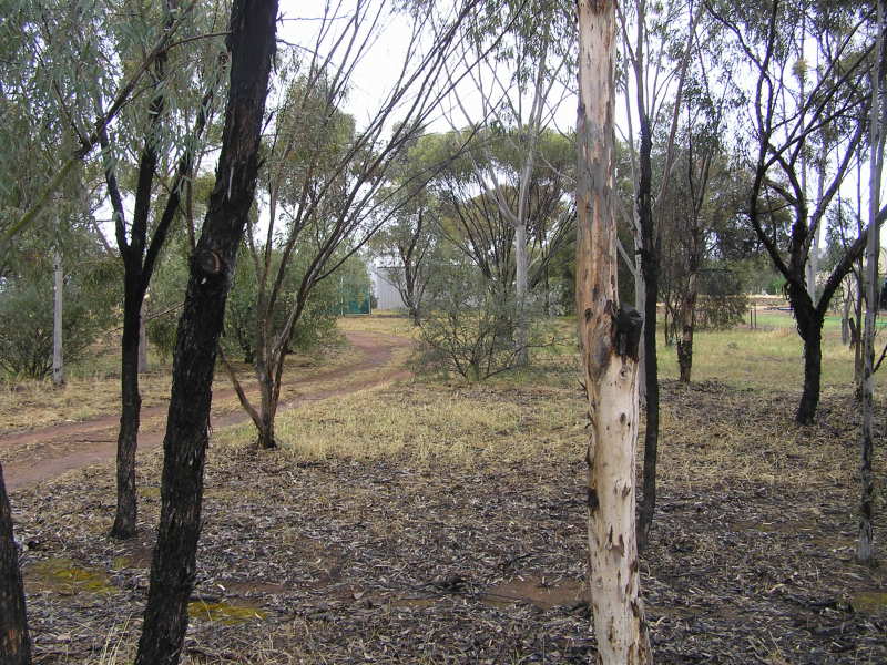 TERRIFIC 1727M2 BLOCK Picture 2