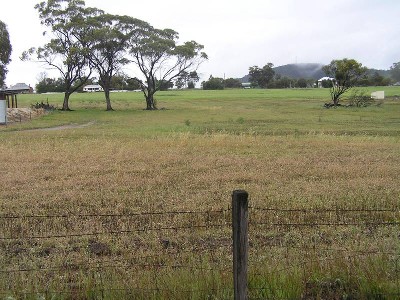 FEELS LIKE HOME Picture FEELS LIKE HOME Picture