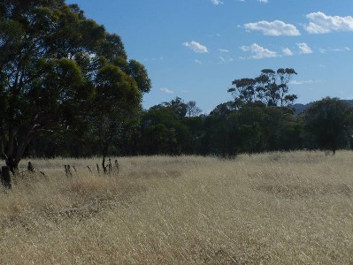 AT LAST Picture AT LAST Picture