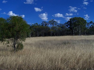 BREAKTHROUGH PRICE FOR RURAL LAND Picture