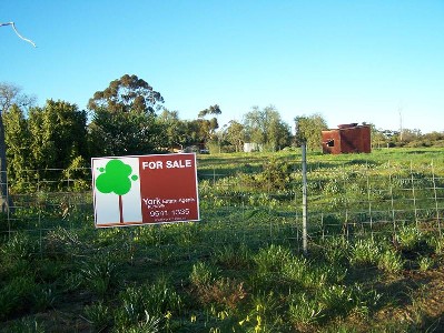 Fire Sale!! Picture Fire Sale!! Picture