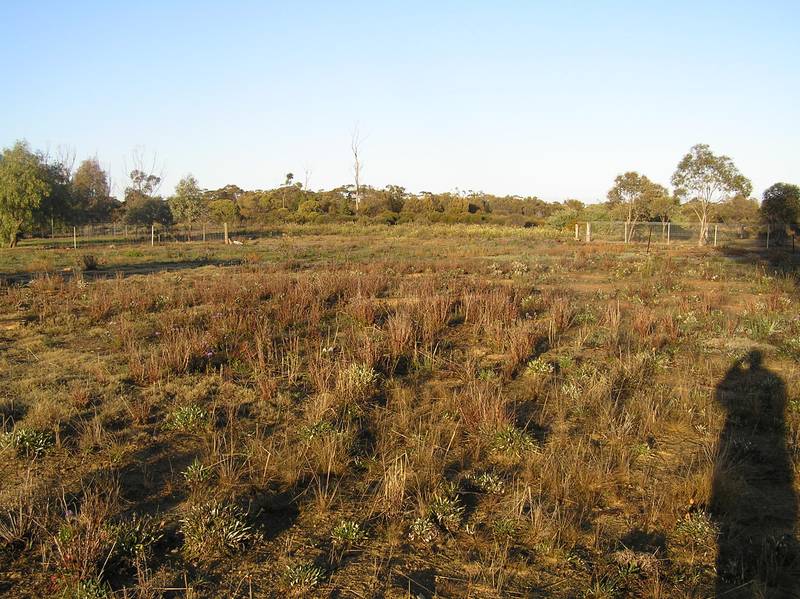 Fire Sale!! Picture 2