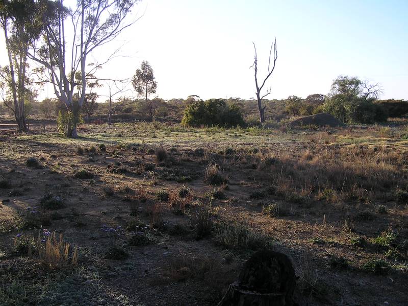 Fire Sale!! Picture 3