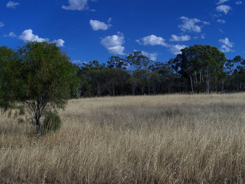 SAFE PLACE TO INVEST Picture 1