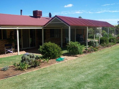 Break Through Price !!!! Announcing a Bargain for you ... Picture