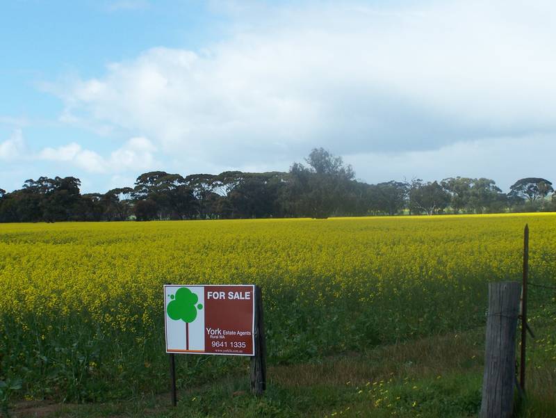 14 Acres paradise fronting reserve and river Picture 2