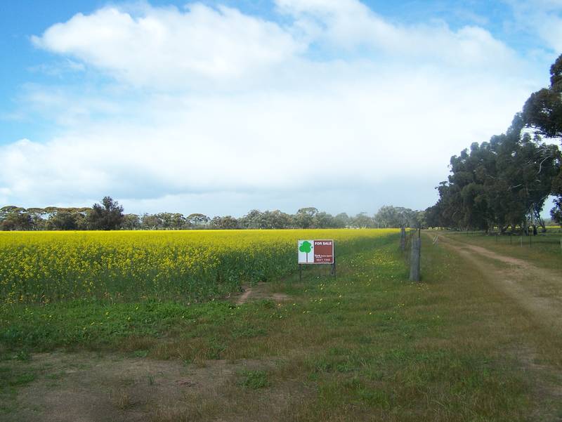 14 Acres paradise fronting reserve and river Picture 3