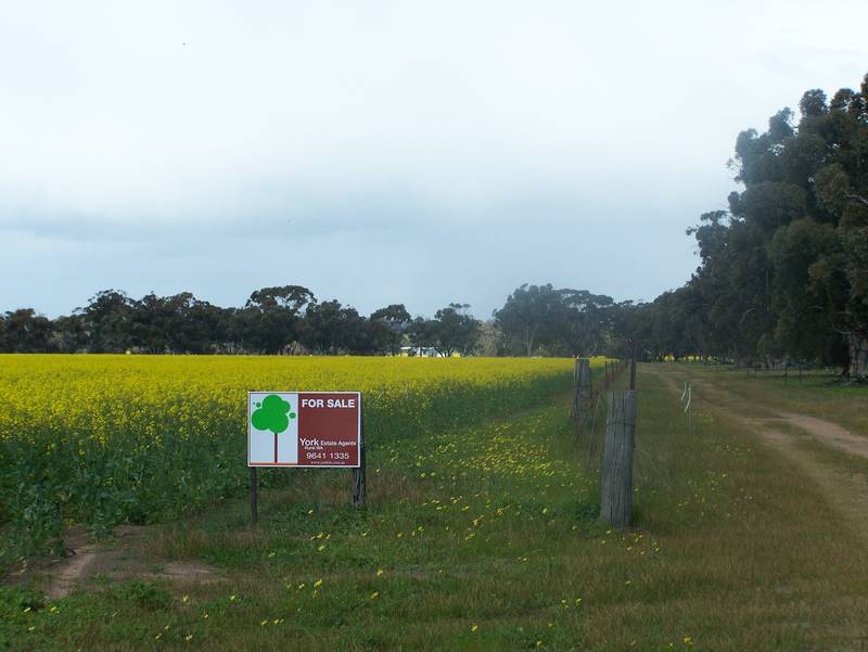 14 Acres paradise fronting reserve and river Picture 1