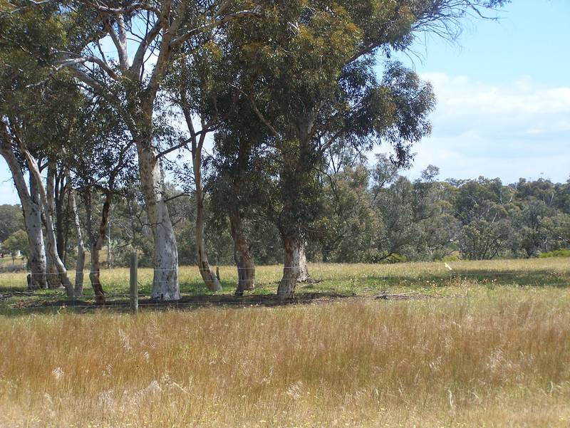 159 Acres great water supply!! Picture 1