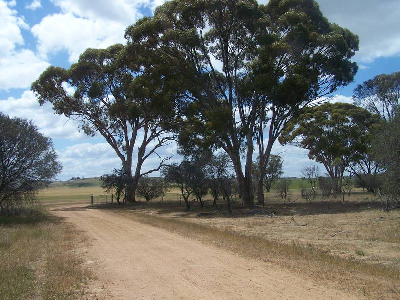 159 Acres great water supply!! Picture 3