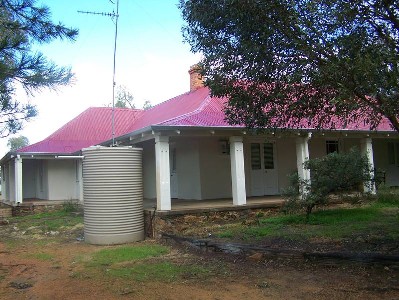 Announcing an opportunity for 3 days only
THE PINES! Picture