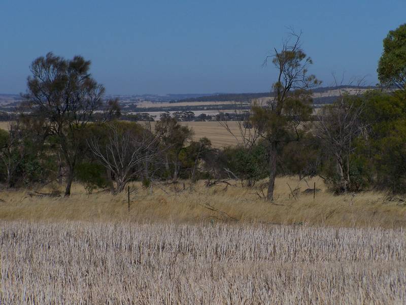 MAGIC ON 441 ACRES! Picture 1