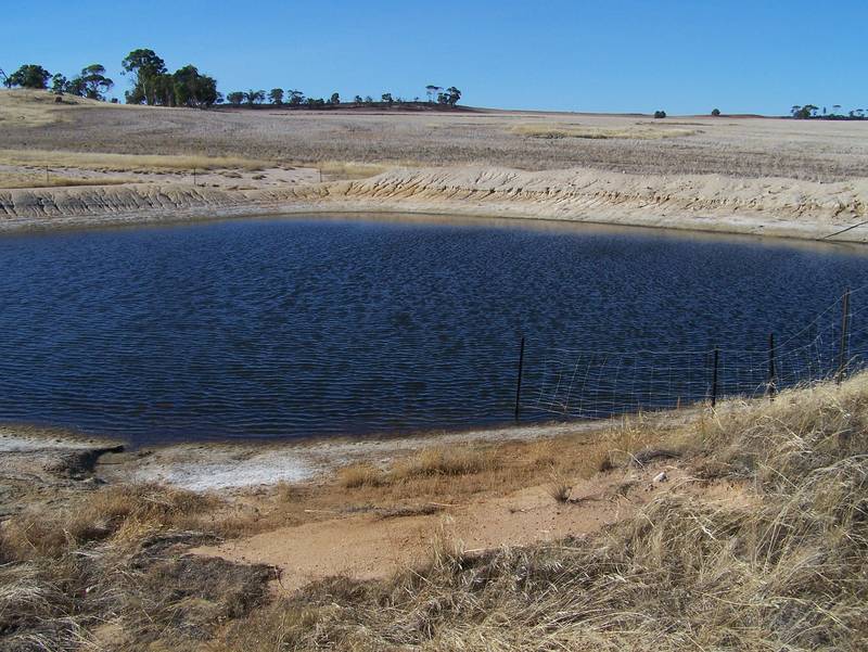 MAGIC ON 441 ACRES! Picture 3