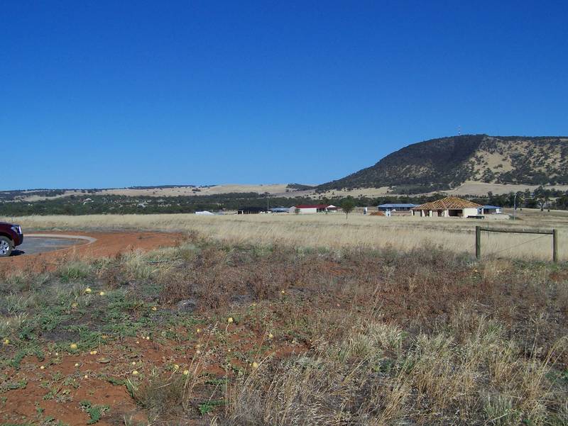 TOP OF THE TOWN! Picture 1