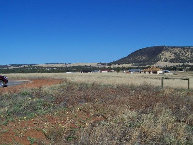 TOP OF THE TOWN! Picture