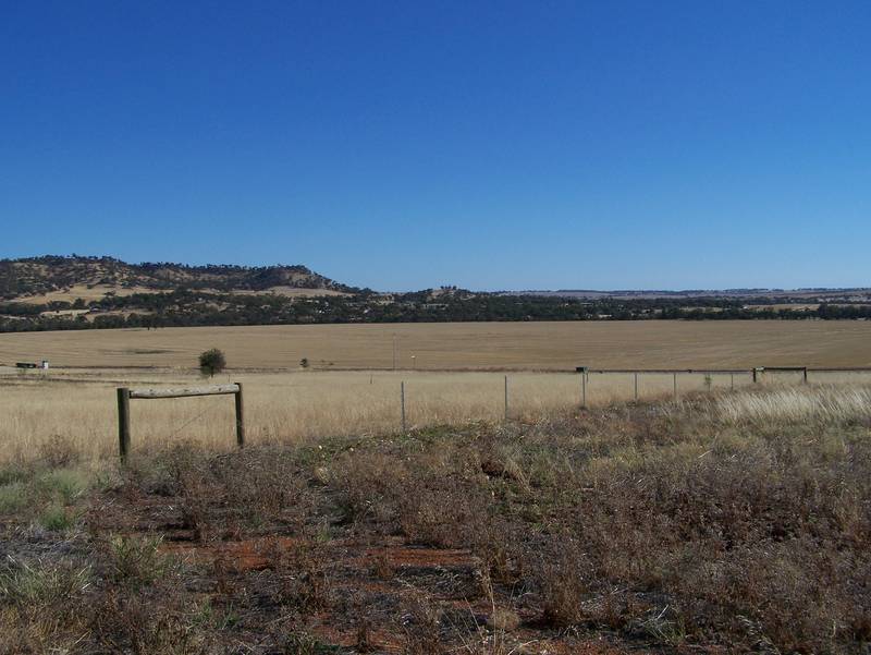 TOP OF THE TOWN! Picture 2