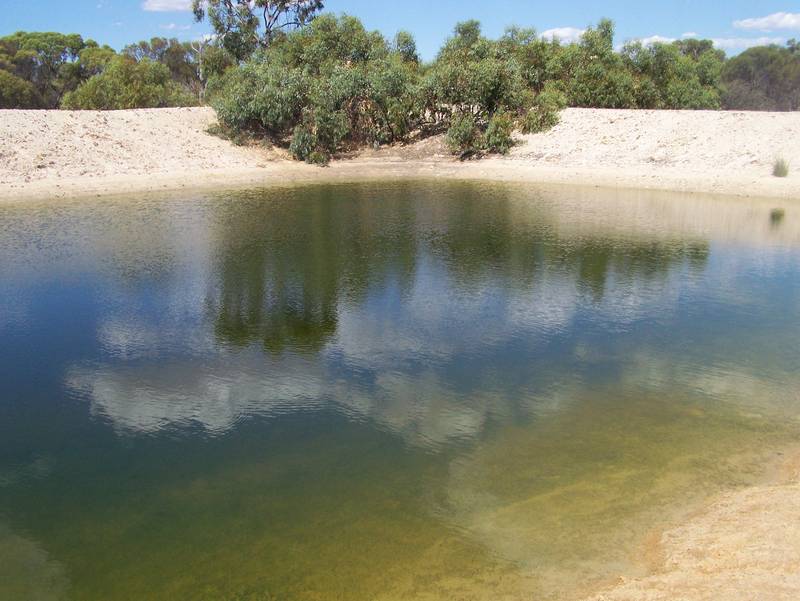 300 acres with some frontage to dale river Picture 2