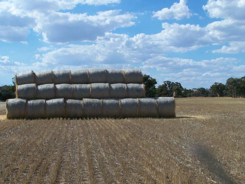 300 acres with some frontage to dale river Picture 3