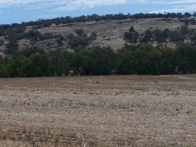 Bubbling Bland Brook Picture Bubbling Bland Brook Picture
