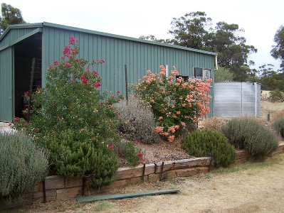 8 Acres Plus Classic Australiana Homestead Picture
