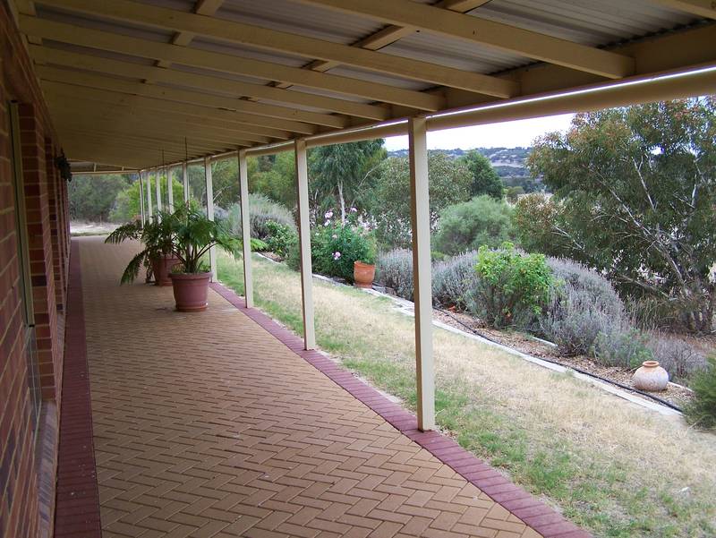 8 Acres Plus Classic Australiana Homestead Picture 3