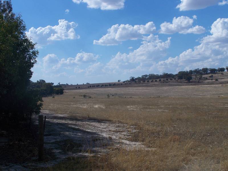 190 acres, views, huge shed/weekender, top spot!! Picture 2
