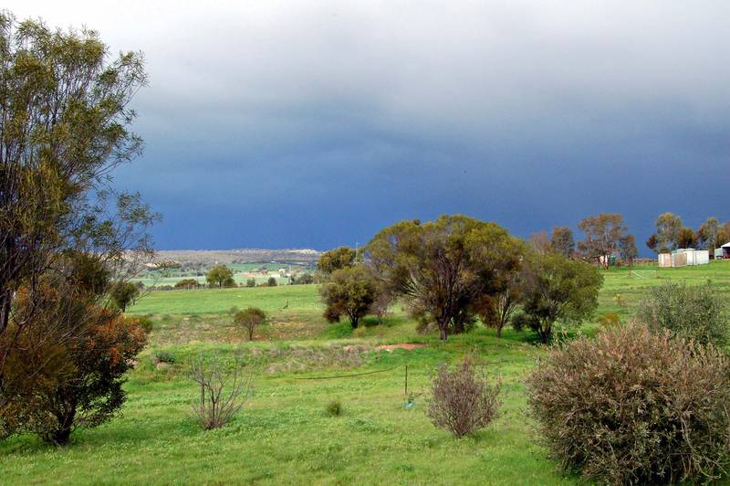 5 Acres,Mountain Views, Peaceful! Picture 2