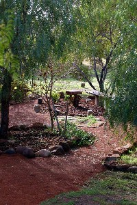 5 Acres,Mountain Views, Peaceful! Picture