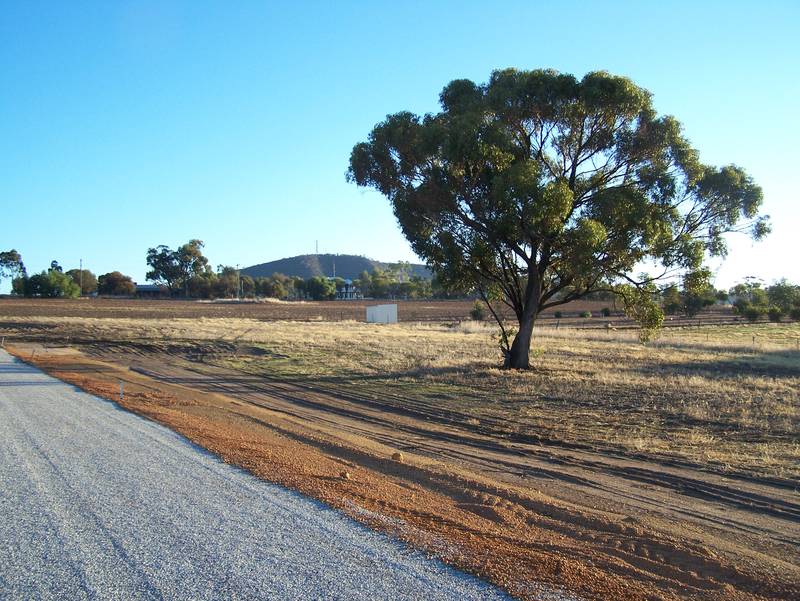 Affordable and nice views Picture 3