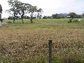 Great views, great price! Picture