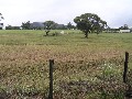 Great views, great price! Picture