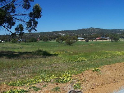Great views, great price! Picture