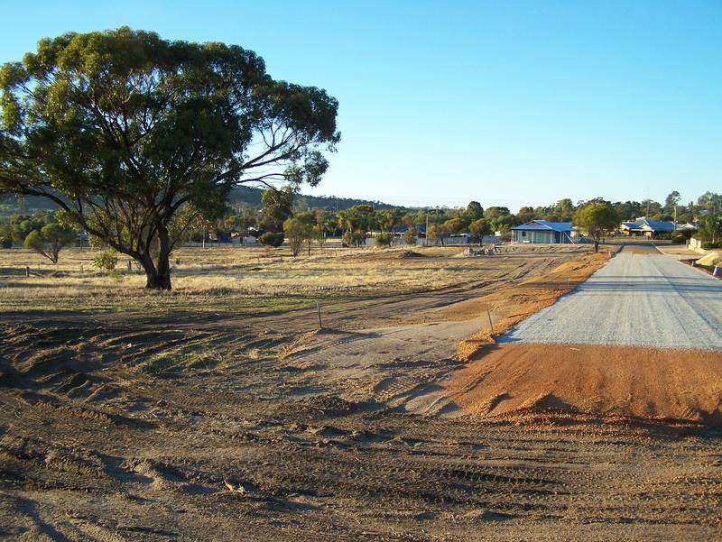 Nice and cheap and nice as well! Picture 3