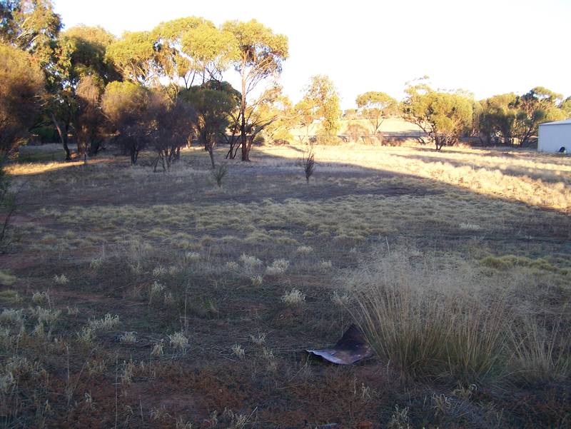 Great Buying Half an acre Picture 3