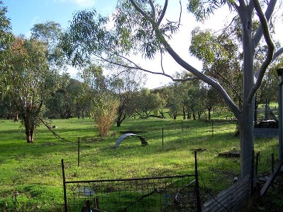 6
acres, neat home, 2 mins to town!!!!
any crazy offer considered! Picture