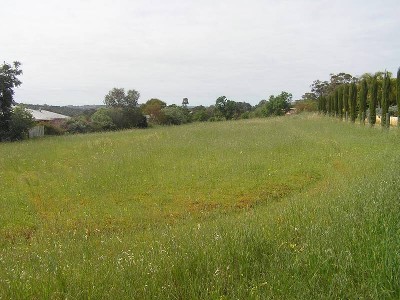 Top of the Hill Picture