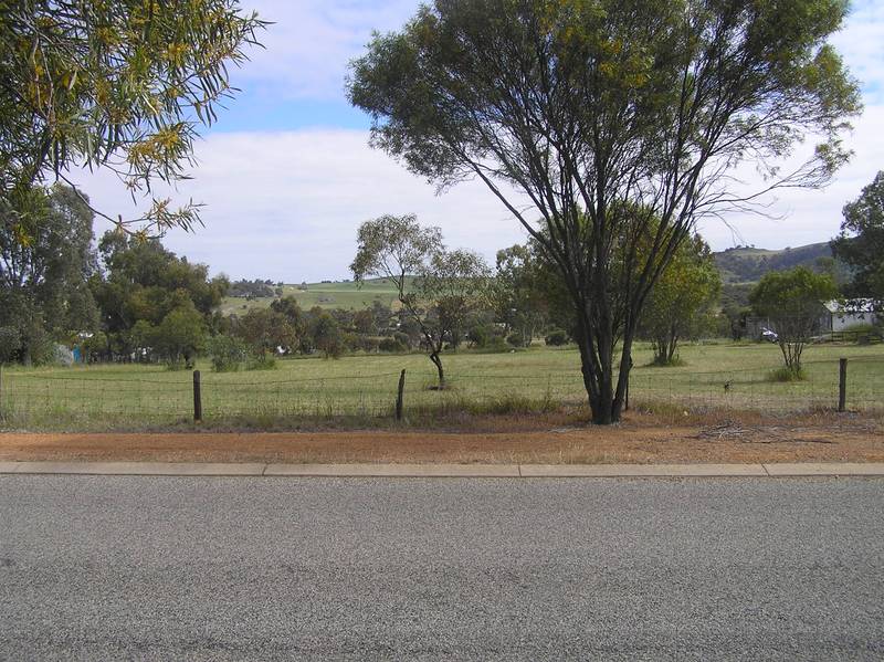 Top of the Hill Picture 2