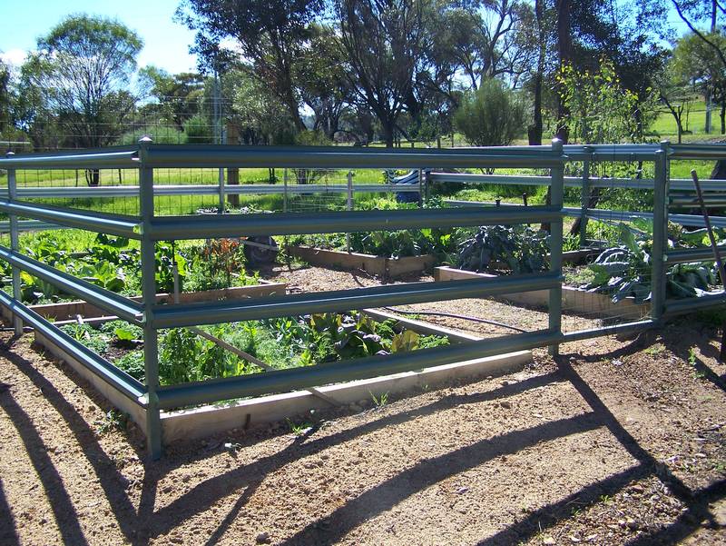 10 Acres !! With 2 Rivers Running By Picture 1