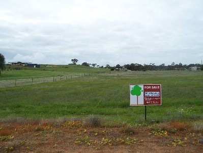 Luxury Homesite Picture Luxury Homesite Picture