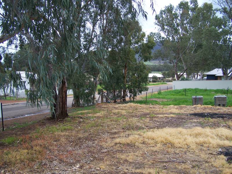 Best Buying, Make an offer Updated Price !! Picture 3