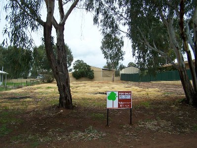 Best Buying, Make an offer Updated Price !! Picture