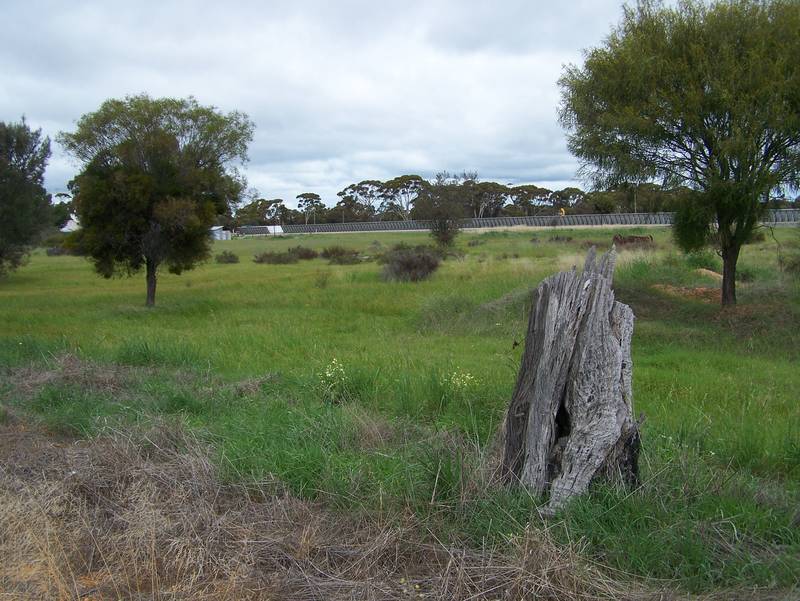 Rare 3 acre Rural Property Picture 3